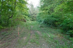 property photo for Riverbend Tract 24, 4.41 acres for sale in Wayne County, Kentucky