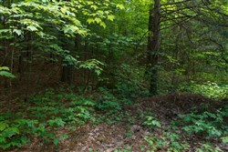 Riverbend Tract 3