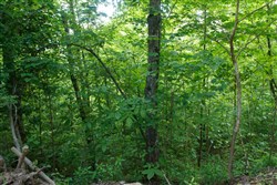 Riverbend Tract 3
