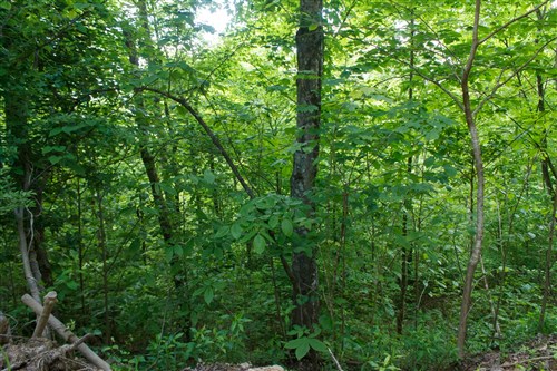 Riverbend Tract 3