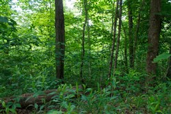 Riverbend Tract 3