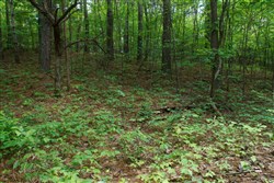 Riverbend Tract 3