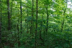 Riverbend Tract 3