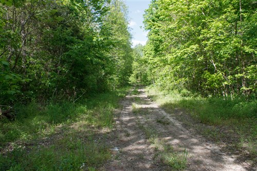 Riverbend Tract 6