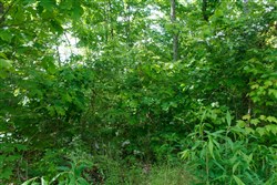 Riverbend Tract 6