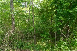 Riverbend Tract 6