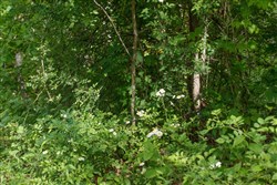Riverbend Tract 6