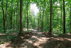 Rolling Hills Tract 10