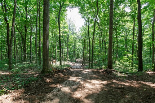 Rolling Hills Tract 10