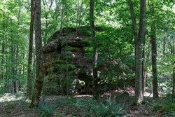 Rolling Hills Tract 10