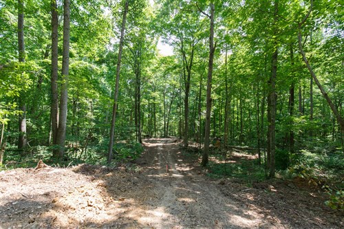 Rolling Hills Tract 10