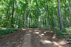 Rolling Hills Tract 10