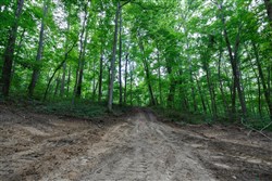 Rolling Hills Tract 11