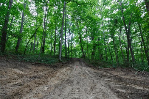 Rolling Hills Tract 11