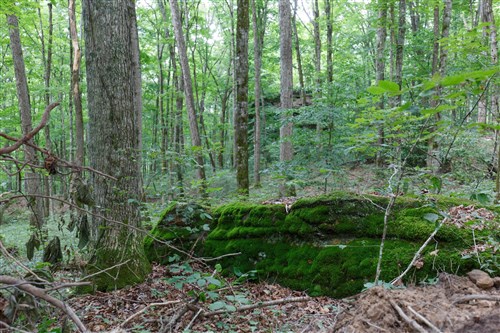 Rolling Hills Tract 11