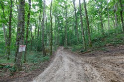 Rolling Hills Tract 11