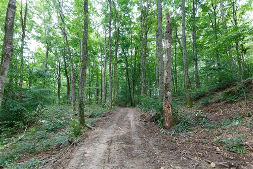 Rolling Hills Tract 12