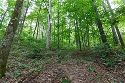 Rolling Hills Tract 12