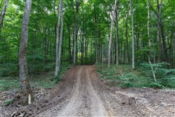 property photo for Rolling Hills Tract 15, 4.78 acres for sale in Wayne County, Kentucky