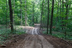 property photo for Rolling Hills Tract 15, 4.78 acres for sale in Wayne County, Kentucky