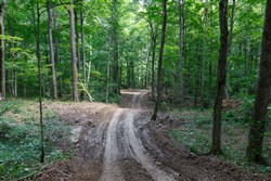 property photo for Rolling Hills Tract 15, 4.78 acres for sale in Wayne County, Kentucky