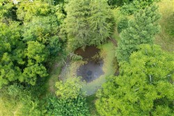 Rolling Hills Tract 17