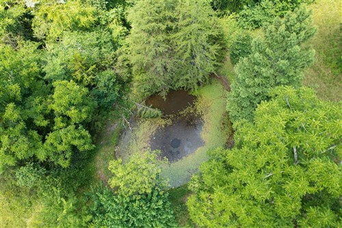 Rolling Hills Tract 17