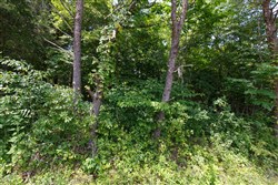 Rolling Hills Tract 3