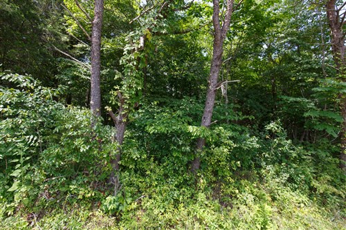 Rolling Hills Tract 3