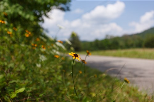 Rolling Hills Tract 3