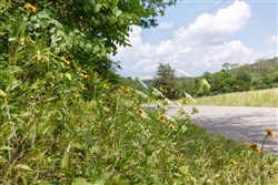 Rolling Hills Tract 3