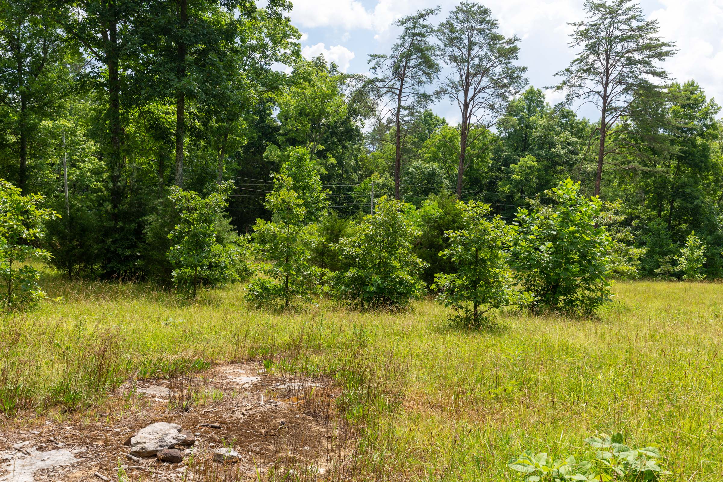 Tract 1 at Tucker Hollow in Wayne County, Kentucky