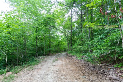 Tucker Hollow Tract 10