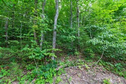Tucker Hollow Tract 10