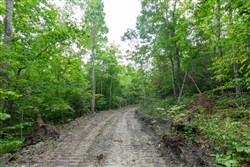 Tucker Hollow Tract 10