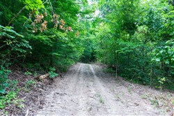 Tucker Hollow Tract 12