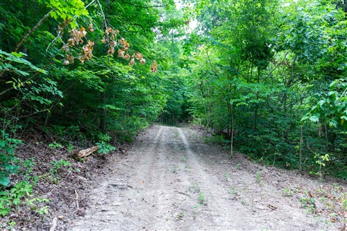 Tucker Hollow Tract 12
