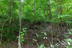 Tucker Hollow Tract 12