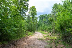property photo for Tucker Hollow Tract 14, 5.73 acres for sale in Wayne County, Kentucky