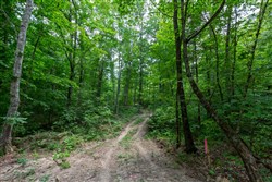property photo for Tucker Hollow Tract 14, 5.73 acres for sale in Wayne County, Kentucky