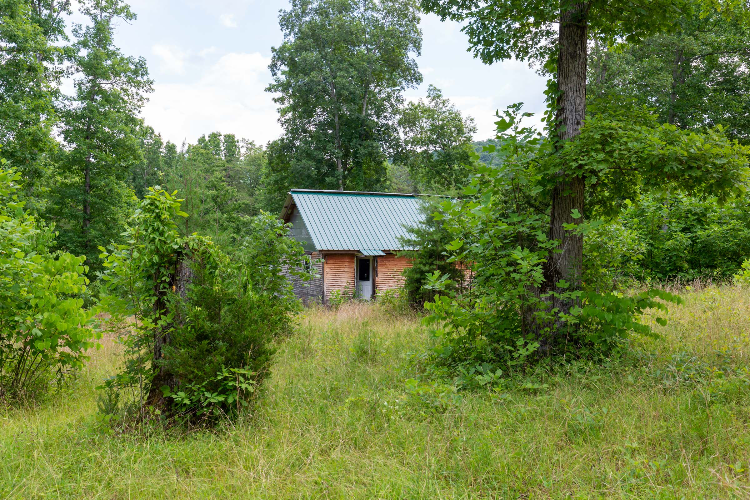 Tract 6 at Tucker Hollow in Wayne County, Kentucky