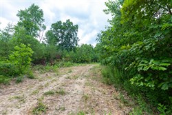 property photo for Tucker Hollow Tract 8, 5.08 acres for sale in Wayne County, Kentucky