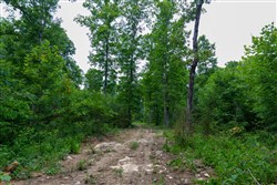 property photo for Tucker Hollow Tract 8, 5.08 acres for sale in Wayne County, Kentucky