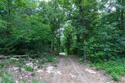 property photo for Tucker Hollow Tract 8, 5.08 acres for sale in Wayne County, Kentucky