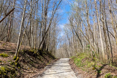 Woodland Heights Tract 19
