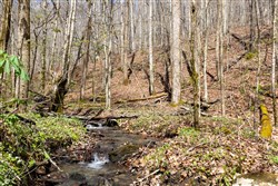Woodland Heights Tract 19