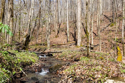 Woodland Heights Tract 19