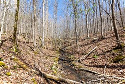 Woodland Heights Tract 19