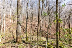 Woodland Heights Tract 19