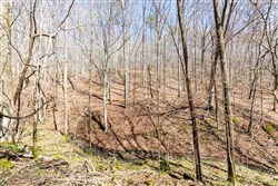 Woodland Heights Tract 19